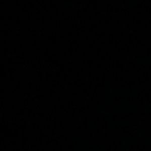 Meet your Posher, Alissa